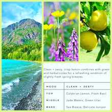 Load image into Gallery viewer, Stikine River